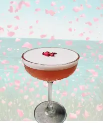 Rosebud Cocktail Recipe Image: A Symphony of Flavours